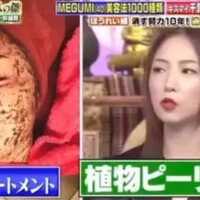 画像244